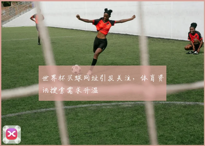 世界杯买球网址引发关注，体育资讯搜索需求升温